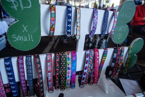 dog collars-1024x683